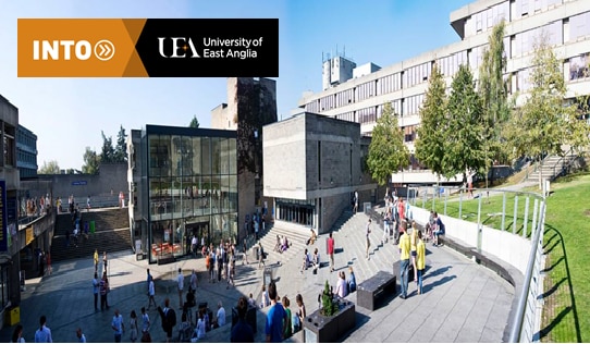 INTO UNIVERSITY OF EAST ANGLIA | British Council